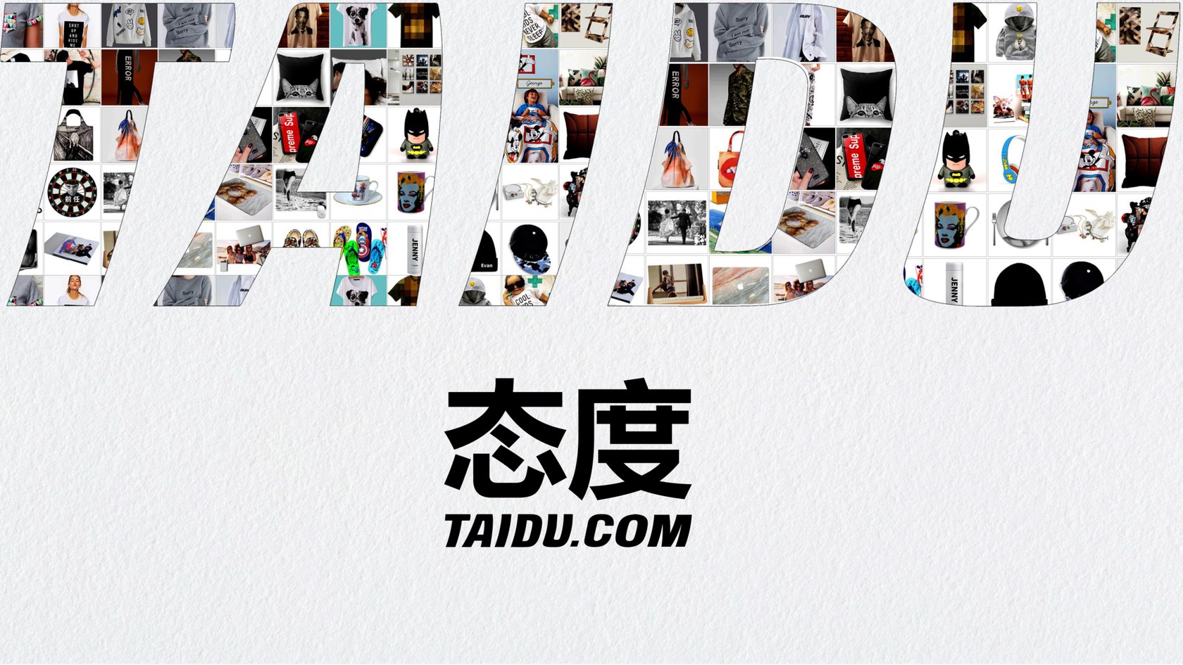 态度 TAIDU